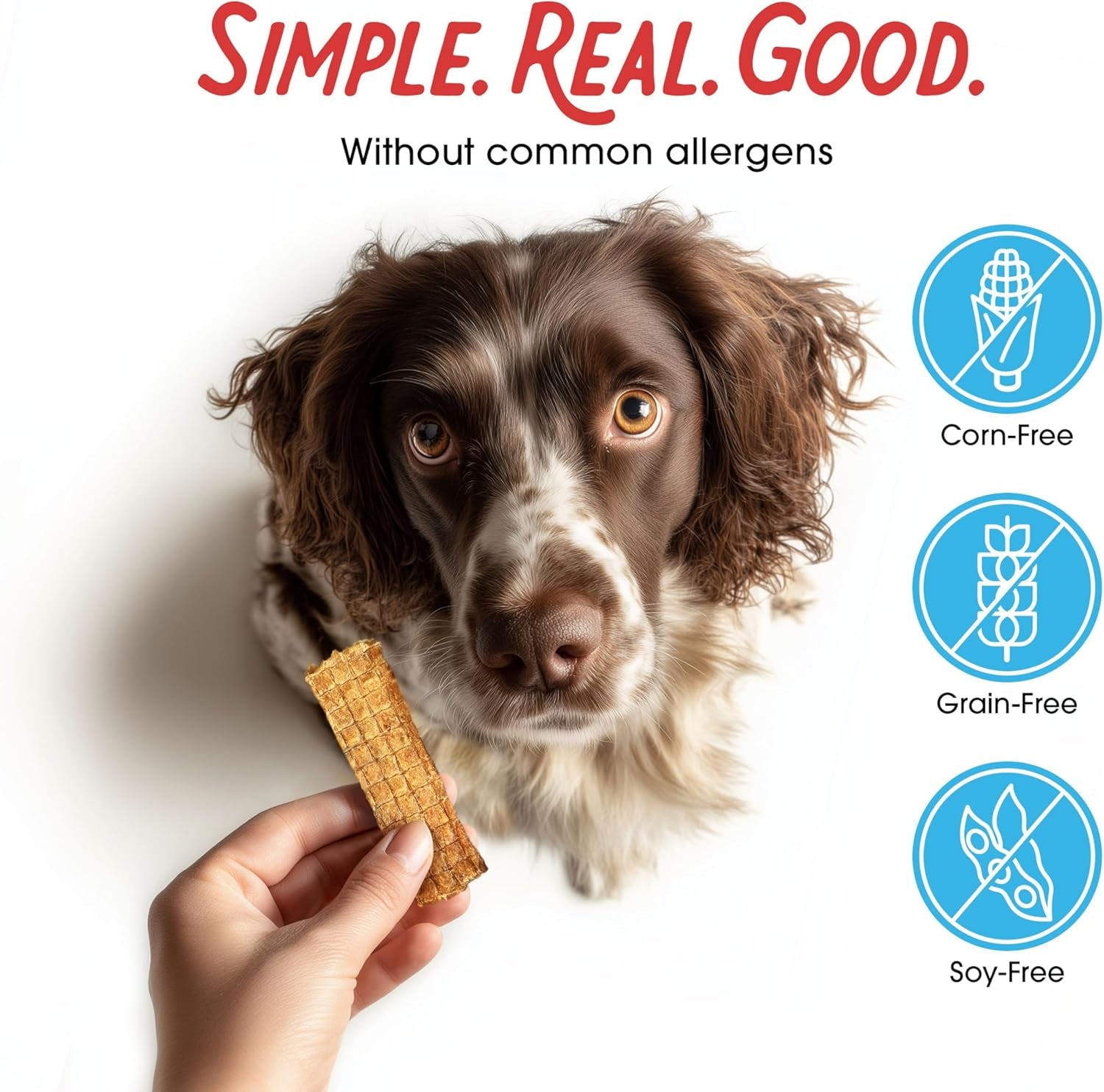 Dogs Love Chicken Premium Jerky Treats for Dogs